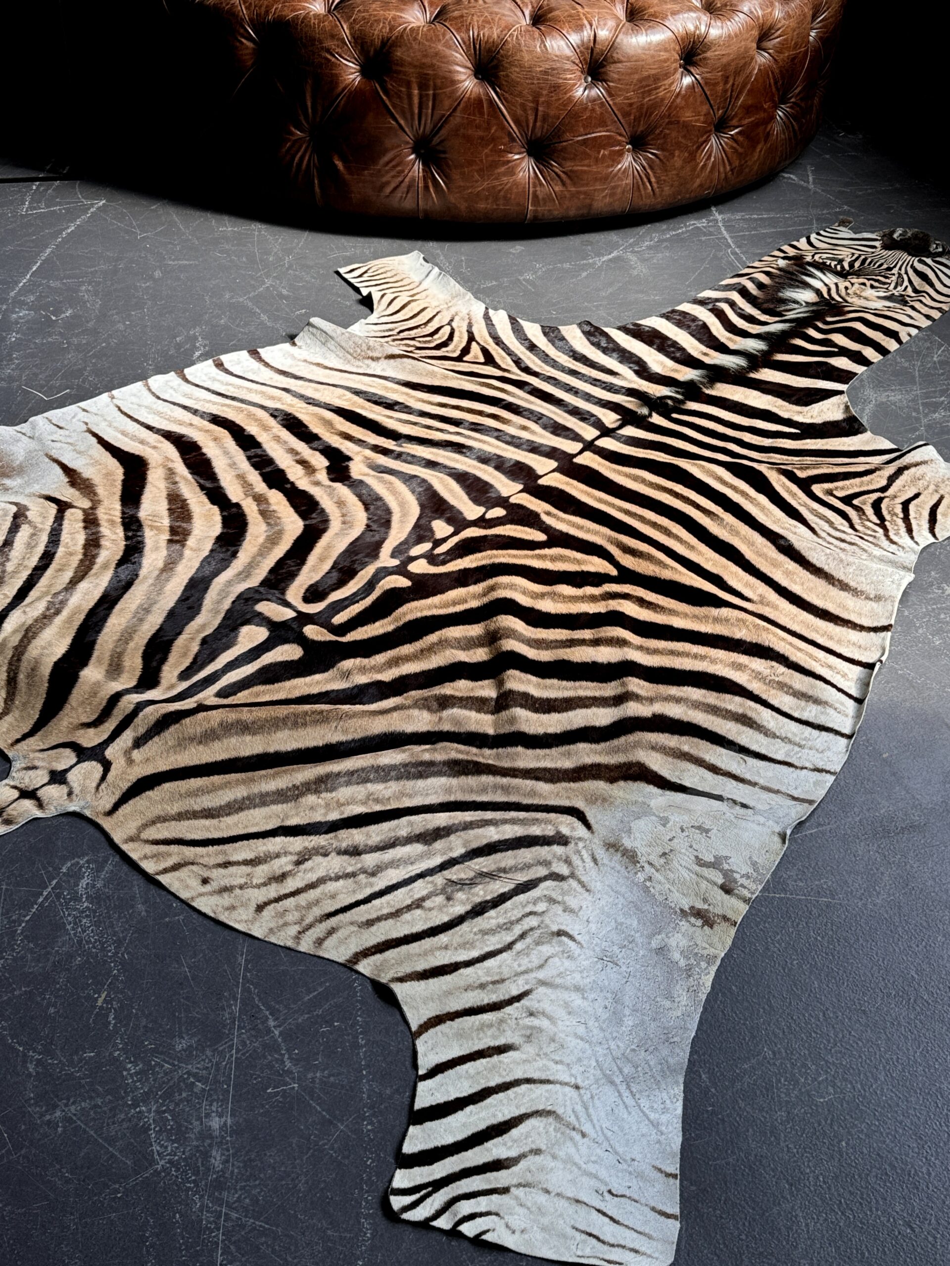 Zebra hide