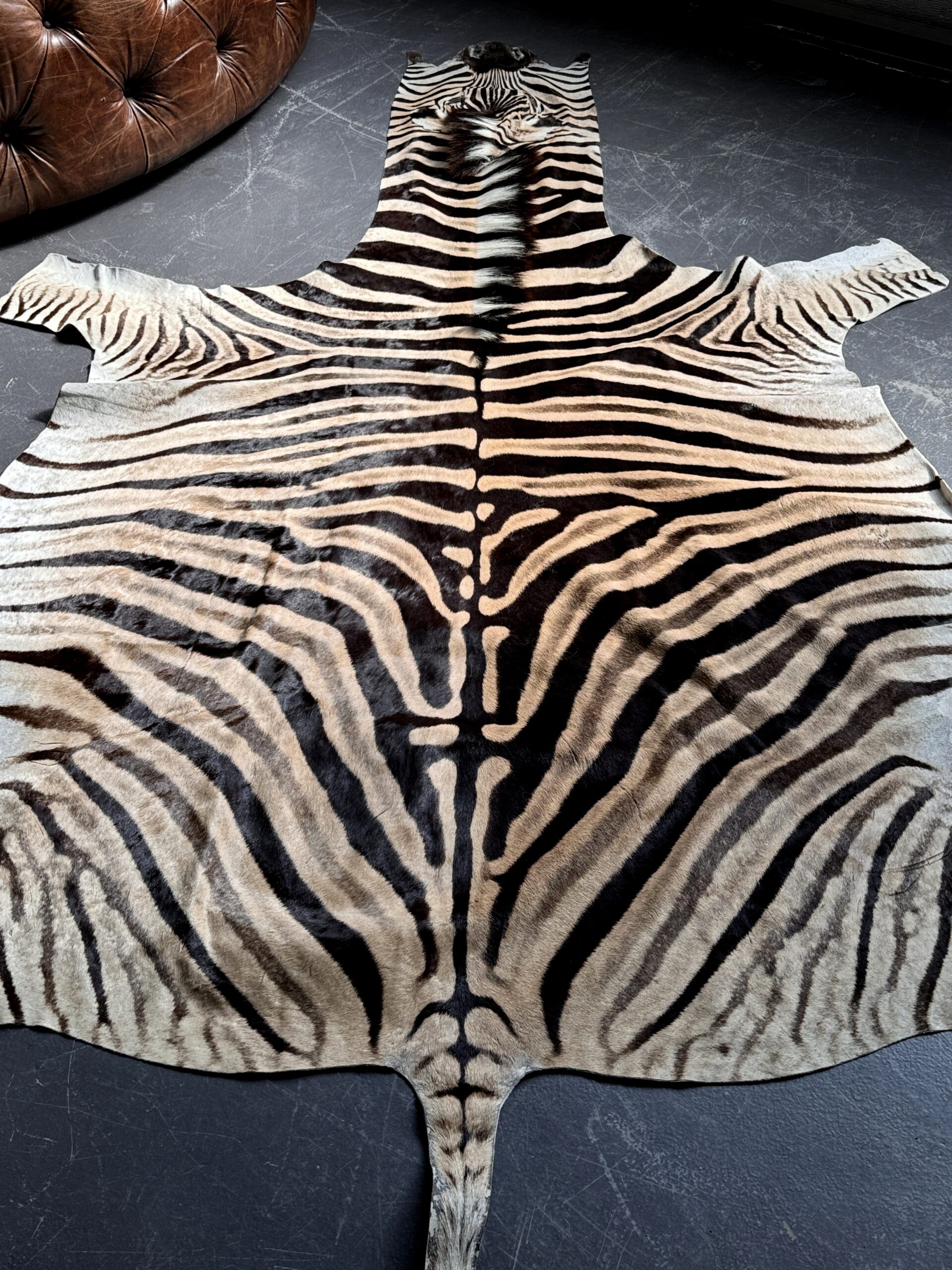 Zebra hide