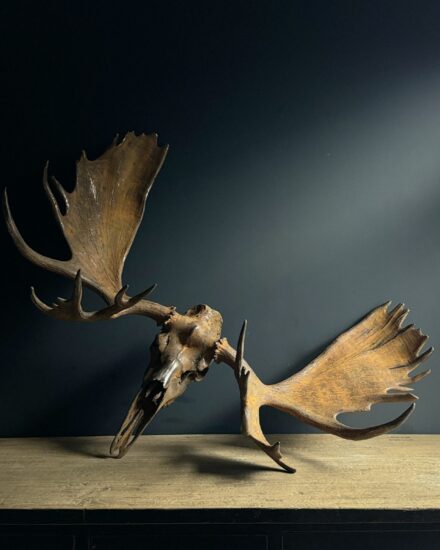 metalic moose antlers