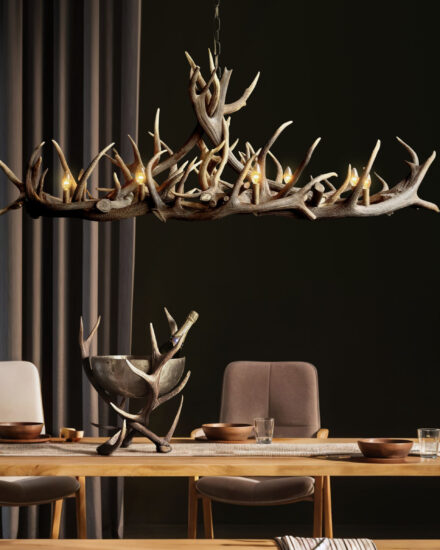 9 - the antler lamp 170 cm above the table, cooler on the table-001